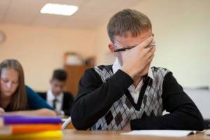 Школьники Брянской области не будут писать всероссийские проверочные работы