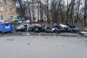 Чиновники назвали виновника свалки мусора в центре Брянска