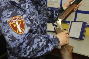 Брянцам с начала года за оружие выдали более 870 тысяч рублей