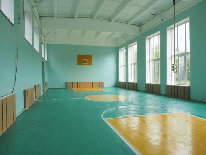 В этом году в сельских школах Брянщины отремонтировали 8 спортзалов