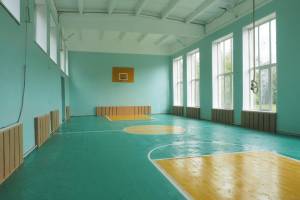 В этом году в сельских школах Брянщины отремонтировали 8 спортзалов