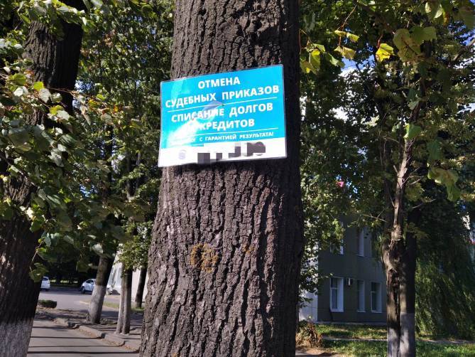 В Брянске забыли убрать всю незаконную рекламу с деревьев