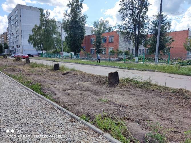 Жителей Брянска шокировала вырубка тенистой аллеи по улице Медведева