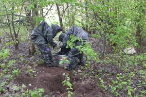 В лесу под Выгоничами нашли 29 килограммов ртути