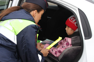Во всех районах Брянска гаишники проверят правила перевозки детей