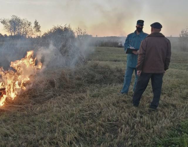 В Брянской области поймали поджигателей сухой травы