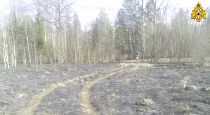 В Карачевском районе 10 человек тушили траву