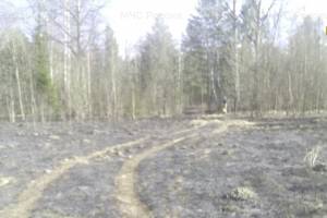 В Карачевском районе 10 человек тушили траву