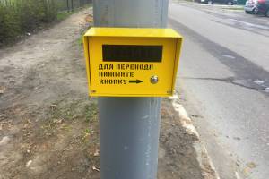 В Брянске на улице Фокина установили два светофора с кнопкой
