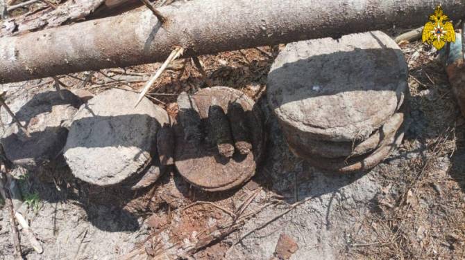 В Дятьковском районе нашли 10 мин и 3 артиллерийских снаряда