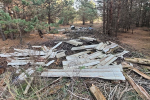 В Клинцах дачники загадили лес