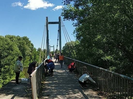 В Брянске продолжается благоустройство Голубого моста