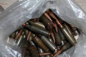 Жителю Рогнединского района ограничили свободу за хранение патронов