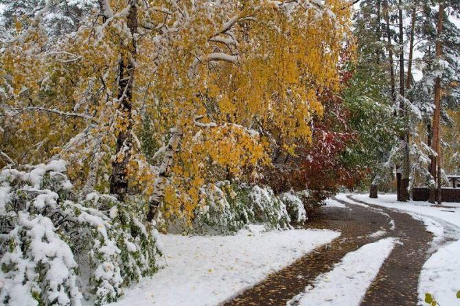 В Брянской области первый снег ожидается уже в сентябре