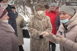 В Карачеве разругались противники собак и зоозащитники