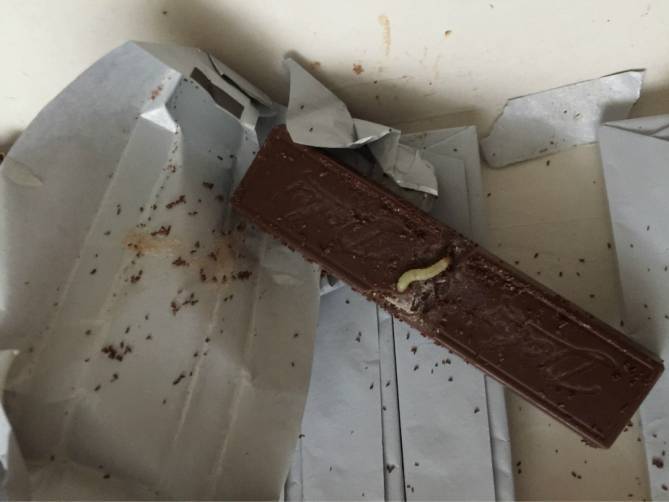 В Брянске 18-летняя сладкоежка украла из супермаркета шоколад