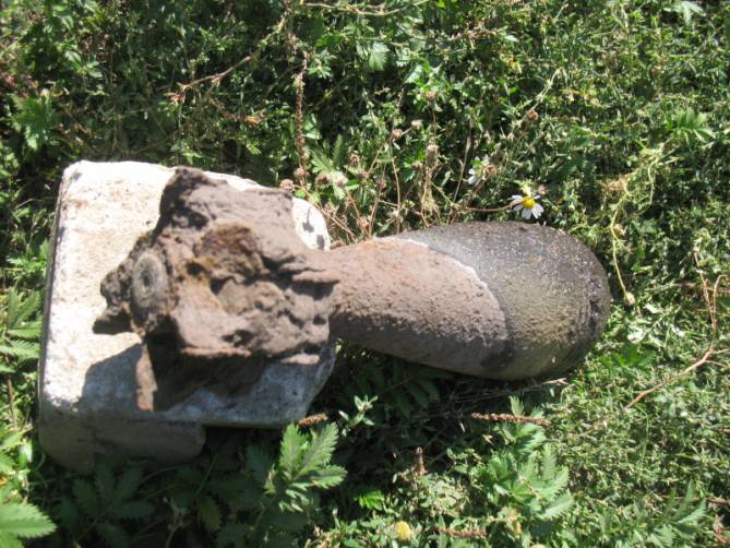 В лесу у суземского села Кукушкино нашли минометную мину