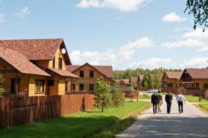 На комплексное развитие брянского села за год потратили 502 миллиона рублей
