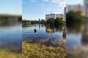 В Брянске утонул 20-летний парень