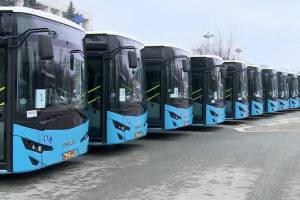 В Брянске изучат вопрос закупки больших автобусов