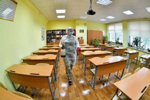 Из-за гриппа и ОРВИ в брянских школах закрыли 64 класса