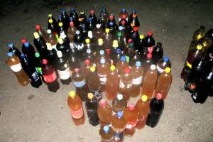 Молдованин попытался провезти на Брянщину 267 литров домашнего вина