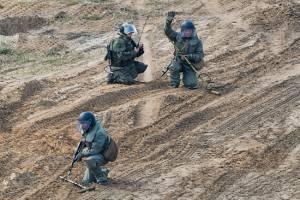 В Брянской области сапёры очистят военные полигоны