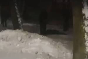 В Брянске возле бежицкого автовокзала избили парня