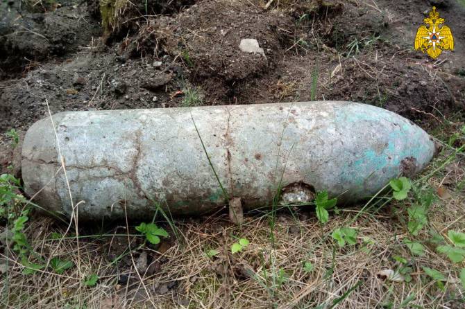 В лесу под Клетнёй нашли две гранаты и авиабомбу