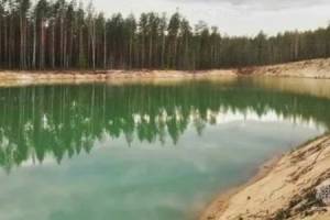 На карьере в Брянском районе утонул 16-летний юноша
