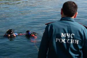 В Сураже на реке Ипуть утонул 45-летний мужчина