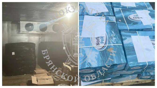 В Злынке уничтожили изъятые у контрабандиста 4 тонны скумбрии