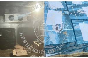 В Злынке уничтожили изъятые у контрабандиста 4 тонны скумбрии