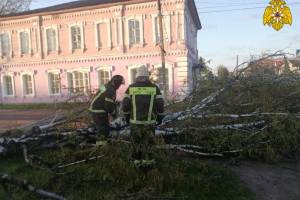 МЧС: в Брянской области ураган повали более 40 деревьев