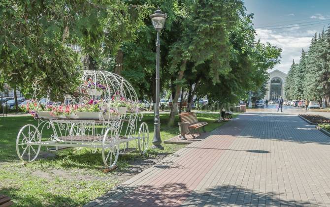 В брянском сквере Карла Маркса появилась цветочная карета
