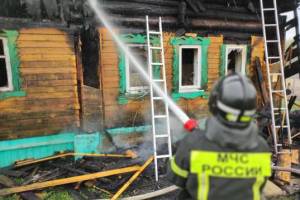 В селе Севского района сгорел жилой дом