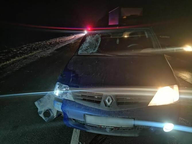 Под Брянском водитель Renault насмерть сбил 45-летнего мужчину