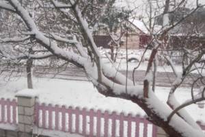 Несколько районов Брянщины завалило снегом
