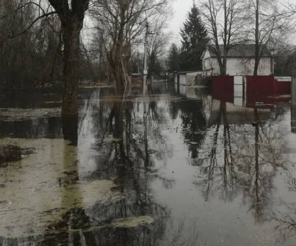 В Брянской области к 29 марта в зоне затопления оказались 67 домовладений 