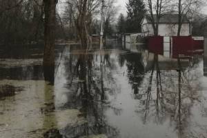 В Брянской области к 29 марта в зоне затопления оказались 67 домовладений 