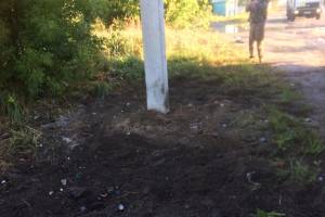 В Брянске в садовом обществе «Механизатор» дачники устроили свалку