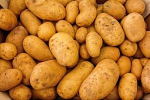В накормившую США брянскую картофельную фабрику инвестировали 250 млн рублей