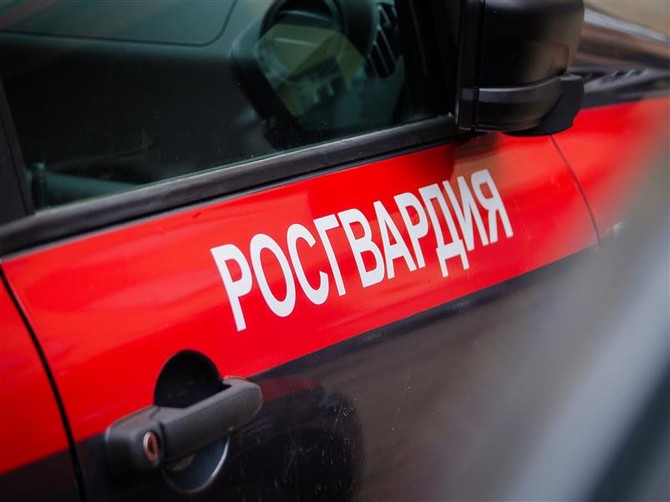Воровку задержали прибывшие по вызову бойцы Росгвардии