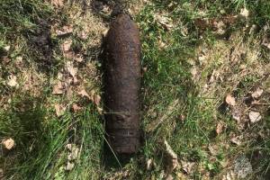 Под Дубровкой в болоте нашли артиллерийский снаряд