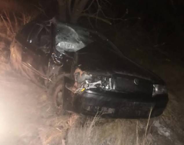 На брянской трассе пьяный водитель врезался в дерево и сломал рёбра