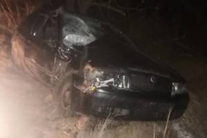 На брянской трассе пьяный водитель врезался в дерево и сломал рёбра