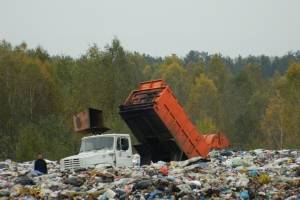 Новозыбковские чиновники вернули контроль над мусорным полигоном «Ратово»