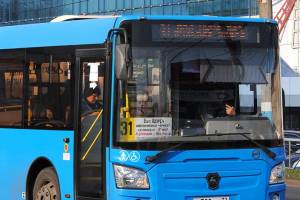 В Брянске водитель автобуса №31 уронил 65-летнюю женщину