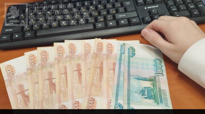 В Брянске осудили бизнесмена за сокрытие от налогов 65 млн рублей