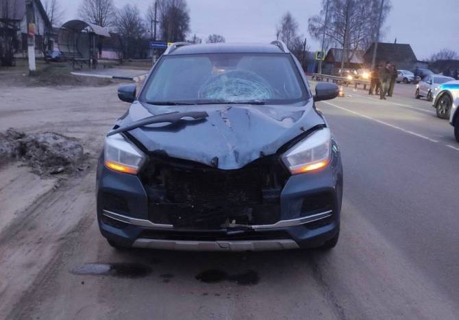 В Климово 20-летнюю девушку насмерть сбила 39-летняя автоледи